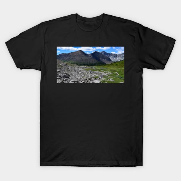 Ptarmigan Cirque. T-Shirt by CanadianWild418